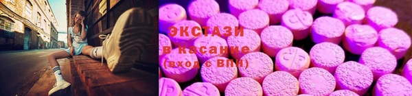 ECSTASY Алзамай