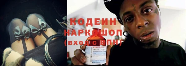 ECSTASY Алзамай