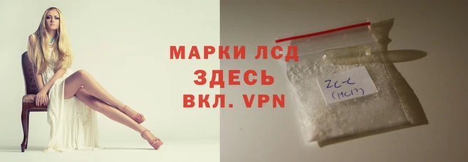 ECSTASY Алзамай