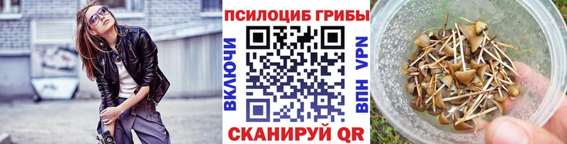 Псилоцибиновые грибы ЛСД  где купить наркотик  Туран 